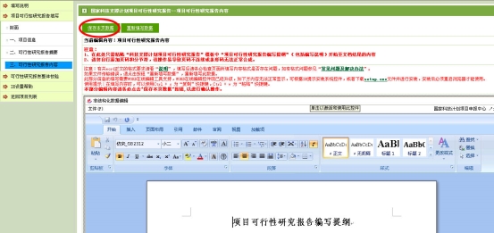 项目可行性研究（论亚游国际）报告内容界面
