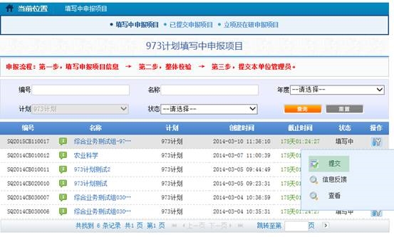 申报人提交项目