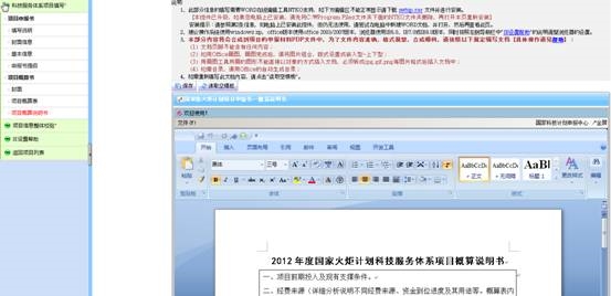 项目概算说明书的填写页面