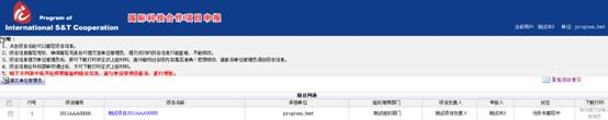 申报系统的项目列表界面