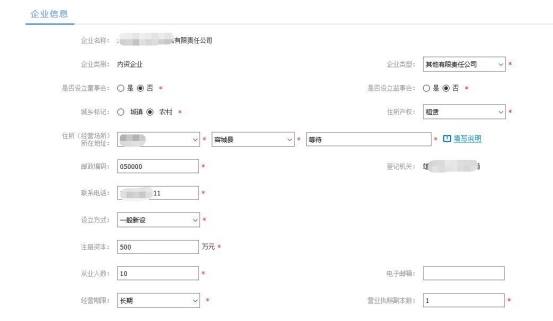 根据提示填写企业名称的“四段式”内容