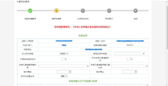 申报表填写